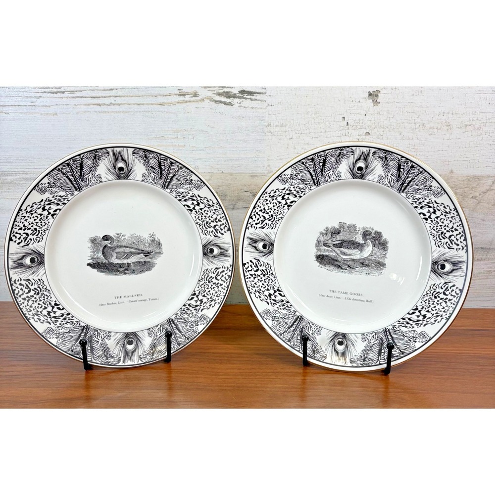 Vintage Prinknash Abbey Pottery Plate from the "Bewick's Birds" collection 8"